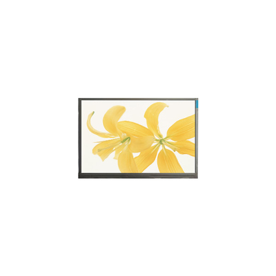 Bon prix 10Moniteur à écran LCD LCD LPM104GNX1 R1 TFT LVDS 262K en ligne