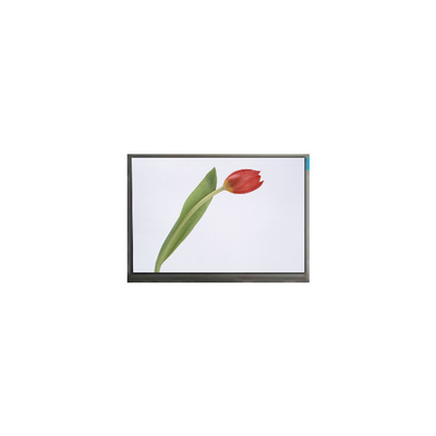 Bon prix M070SWP1 R0 7,0 pouces 800*480 TFT écran LCD Panneau d'affichage en ligne