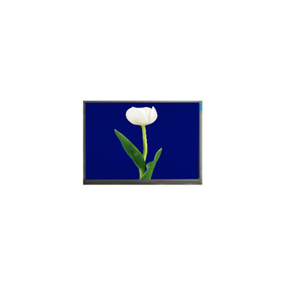 Bon prix M070SWP1 R4 800*480 7,0 pouces écran LCD TFT 500 cd/m2 Pièces détachées en ligne