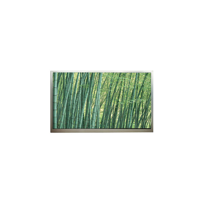 Bon prix 1024*768 10,4 pouces M104GNX2 R1 écran LCD en ligne