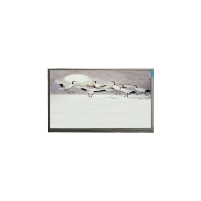 Bon prix P101GWWF R2 10,1 pouces 1280 * 800 affichage LCD pour le pad en ligne
