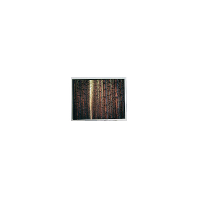 Bon prix Écran LCD de 4,3 pouces FG04032PDSSWBG01 en ligne