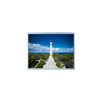 Bon prix 240*234 FG010600ANCWA-01 écran LCD de 1,6 pouce pour appareil photo numérique fixe en ligne