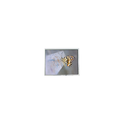 Bon prix FG050722DSSWDGL2 640*480 5,7 pouces 20 broches Pièces d'écran LCD en ligne