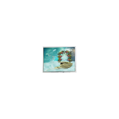 Bon prix TFT1N5918 Moniteur LCD 800*480 LVDS de 6,9 pouces en ligne