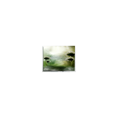 Bon prix 10Écran LCD de 4 pouces TFT1P1799-E 960*1280 pour les voitures en ligne