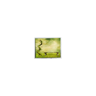 Bon prix TFT7D0179 600*1024 écran LCD original de 7,0 pouces affichage LCD en ligne