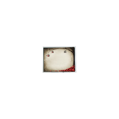 Bon prix TFT9D6672 6,9 pouces 800*480 600:1 pièces du module d'écran LCD en ligne