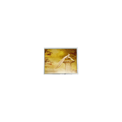 Bon prix TFT1920720-1 12,3 pouces pièces d'écran du module LCD en ligne