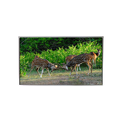 Bon prix Vente à chaud Moniteur LCD LVDS de 21,3 pouces en ligne