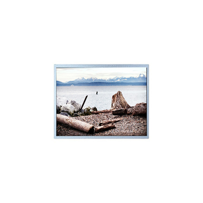 Bon prix P430HVN04.0 Écran LCD 1920*1080 de 43,0 pouces pour l'affichage numérique en ligne