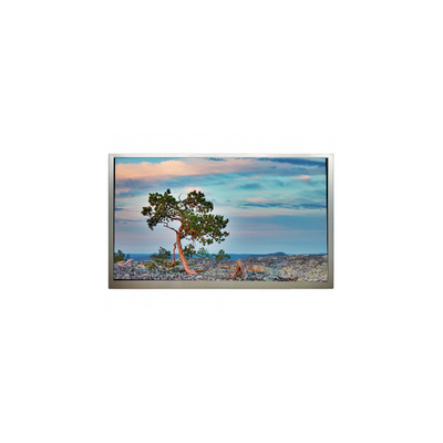 Bon prix SN245CT01-1 24,5 pouces 1920*1080 3500:1 Écran LCD en ligne
