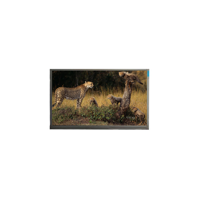 Bon prix Module LCD WLED de 14 pouces N140HCA-E5B en ligne
