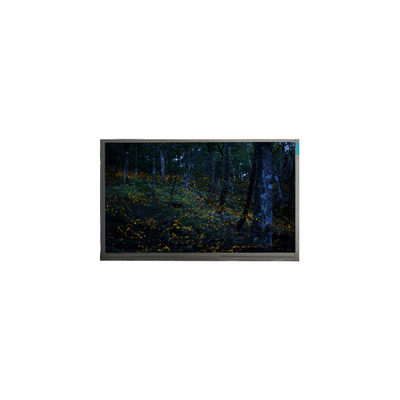 Bon prix Écran LCD à 40 broches en ligne