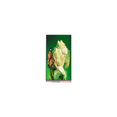 Bon prix P101KDA-AF0 1200*1920 Moniteur LCD de 10,1 pouces 400 cd/m2 à 60 Hz en ligne