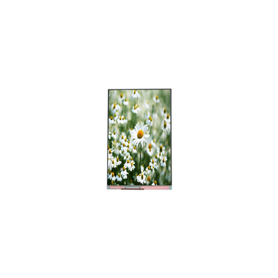 Bon prix Module d'affichage à écran LCD 1080*1920 de 5,5 pouces en ligne