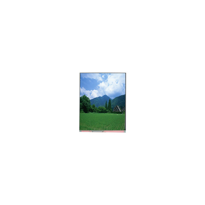 Bon prix PP057IC-01A 5,7 pouces 1080*1920 écran LCD en ligne