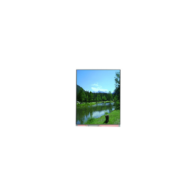 Bon prix PP059JC-01B 1080*2160 5,9 pouces écran LCD Nouveau en ligne