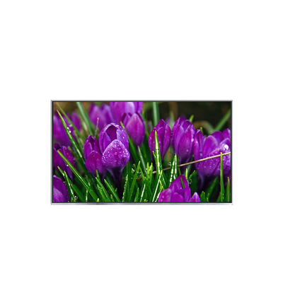 Bon prix B116HAT01.0 Panneau LCD original de 11,6 pouces pour ordinateur portable en ligne