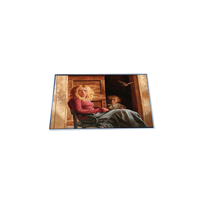 Bon prix N156HAN01.0 Écran LCD de 15,6 pouces 1920*1080 en ligne