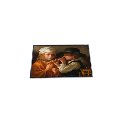 Bon prix P157RAN02.0 Affichage LCD TFT 960*960 de 15,7 pouces en ligne