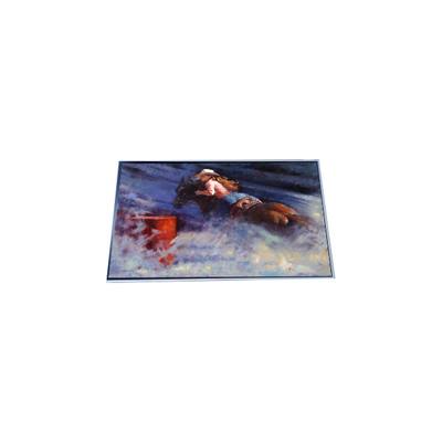 Bon prix P286IVN01.1 Module d'écran LCD 1920*540 de 28,6 pouces en ligne