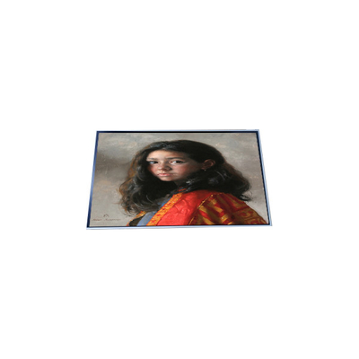 Bon prix P286IVN03.0 Module LCD affichage LCD de 28,6 pouces en ligne