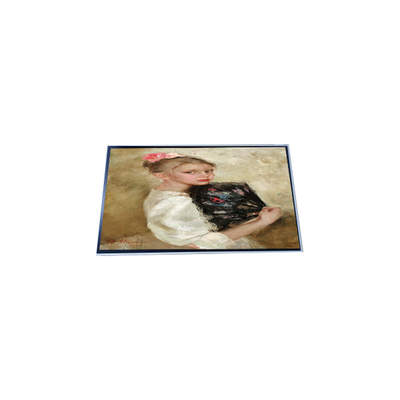 Bon prix P290IAN01.0 Panneau d'affichage à écran LCD 1920*540 de 28,6 pouces en ligne