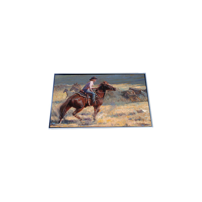 Bon prix P294IVN01.1 29,4 pouces 1920*720 écran LCD en ligne