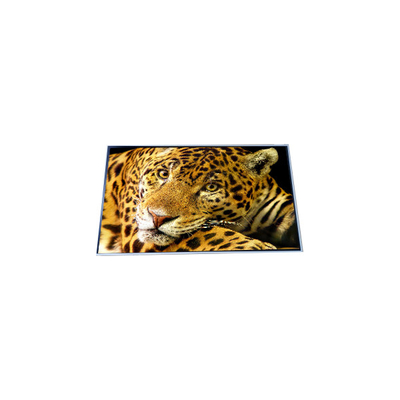 Bon prix P500QVF02.0 Affichage LCD 4K de 50,0 pouces en ligne