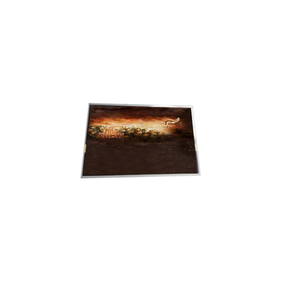 Bon prix P0700WSF2MB00 Écran LCD de 7,0 pouces 1024*600 pour le secteur industriel en ligne