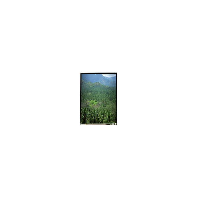 Bon prix LS055B3SX04Z Panneau d'écran LCD TFT de 5,5 pouces 1920*3664 en ligne