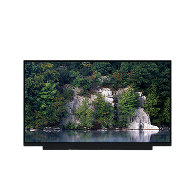 Bon prix PV173FHM-N80 Affichage du panneau LCD 1080p de 17,3 pouces en ligne
