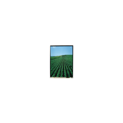 Bon prix 5Affichage LCD 1080*1920 pour téléphone portable en ligne