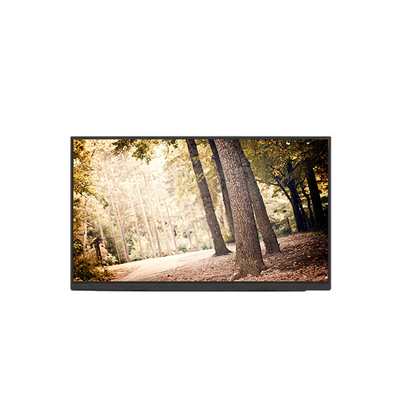 Bon prix NE160QDM-N62 V8.0 Affichage à écran LCD de 16,0 pouces en ligne