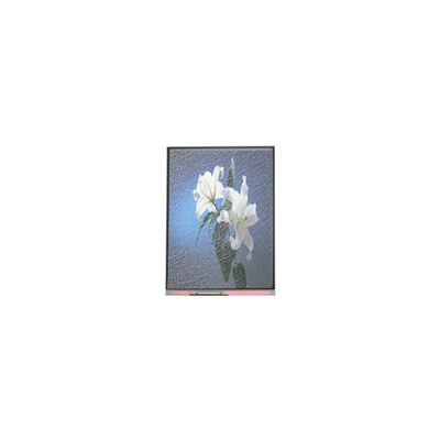 Bon prix C090SWP1-2 9,0 pouces Écran LCD 800*480 pour affichage automobile en ligne