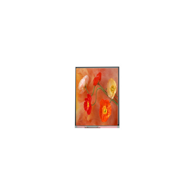 Bon prix Panneau d'affichage LCD original C070AWP9 R0 7,0 pouces en ligne