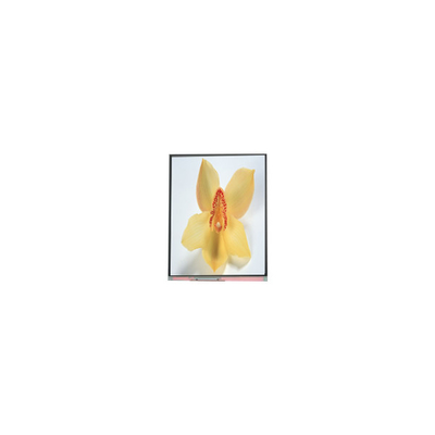 Bon prix C050SWAN-0 5,0 pouces 720*1280 écran LCD en ligne