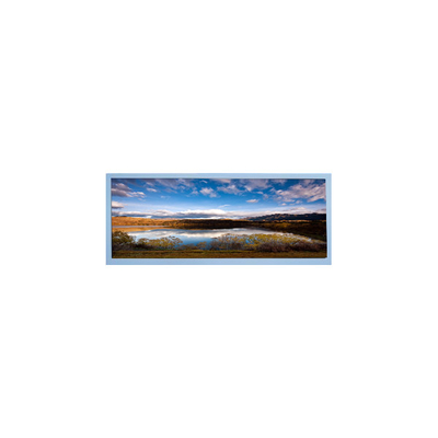 Bon prix M102AWF2 R3 écran LCD de 10,3 pouces Panneau LCD TFT pour affichage automobile en ligne