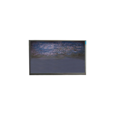 Bon prix U055SWRA-1 panneau d'écran LCD de 5,5 pouces 720*1440 module d'affichage LCD en ligne