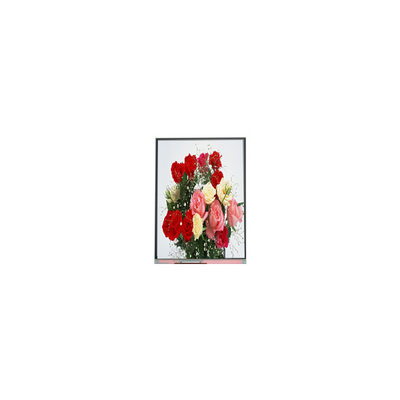 Bon prix C065SWR4-0 Original en stock Écran LCD de 6,5 pouces 540*1200 en ligne