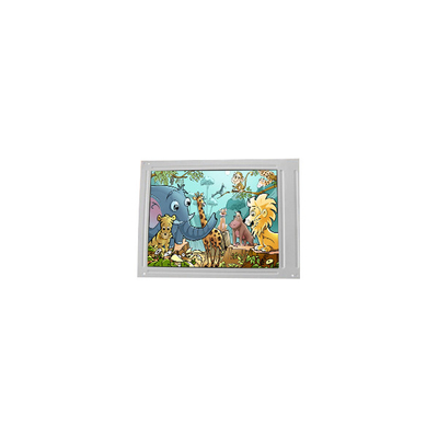 Bon prix F055A25-403 Panneau d'écran LCD de 5,5 pouces 720*1440 affichage à écran LCD en ligne