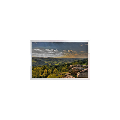 Bon prix 15Écran LCD de 6 pouces B156HAK02.0 HW9A 1920*1080 Panneau LCD TFT en ligne