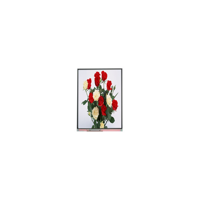Bon prix Écran LCD 720*1480 Panneau d'affichage 6.3 pouces C063SWR1-0 en ligne