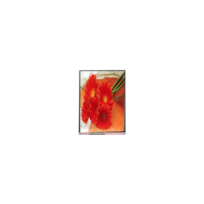 Bon prix 5.5 pouces C055SWY9-0 écran LCD pour téléphone portable en ligne