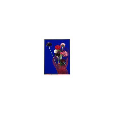 Bon prix 5.4 pouces C054SWR6-0 540 * 1132 écran LCD pour téléphone en ligne