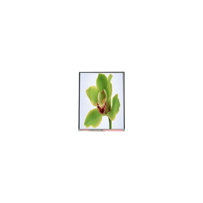 Bon prix 5Écran LCD TFT de 0,0 pouces 480*854 C050SWYG-3 en ligne