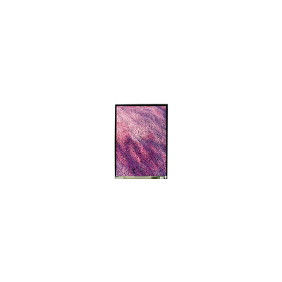 Bon prix 5.2 pouces LS052T3SX15 1080*1920 écran LCD en ligne