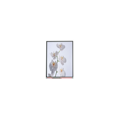Bon prix C060SWR6-1 6.0 pouces 720*1528 écran LCD en ligne