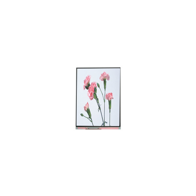 Bon prix C060SWA3-3 6.0 pouces 720 * 1280 écran LCD en ligne
